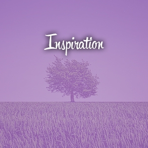 Fabulous Over 50 Inspiration Section