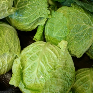 lettuce-wraps-recipe image